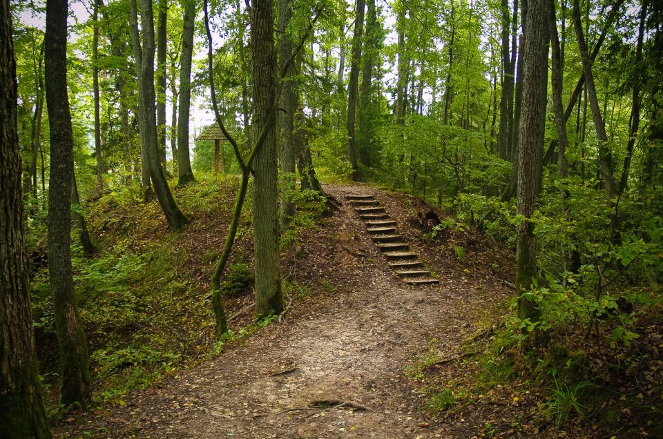 Elka kalns (Rata kakts, Rata kalns, Taurētāju kalniņš)