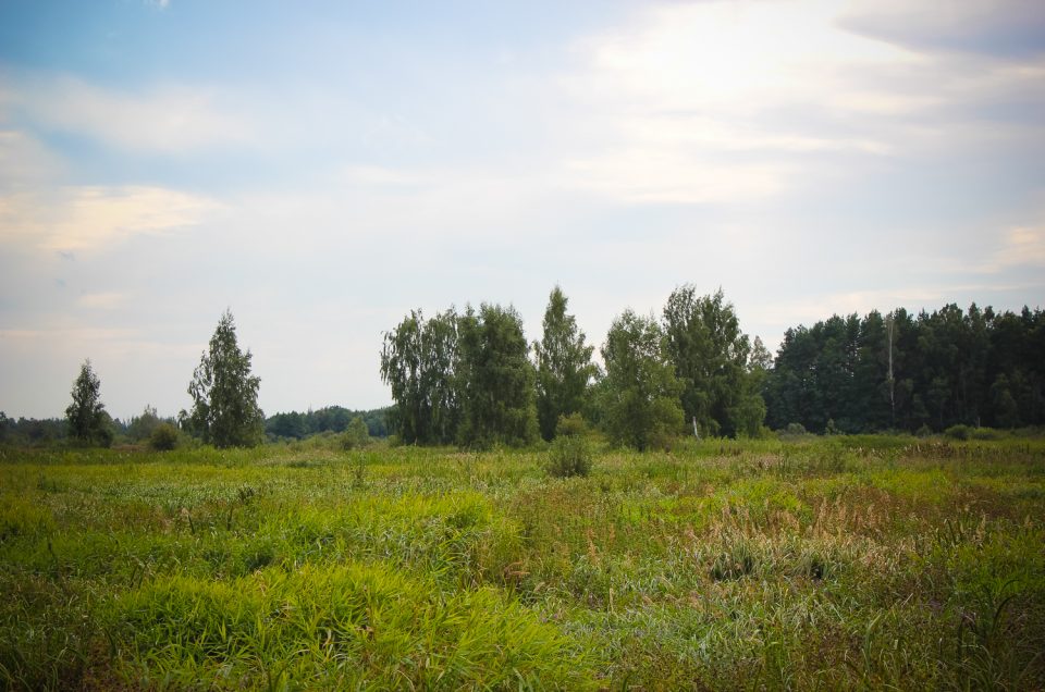 Bruknas Raganu kalniņš