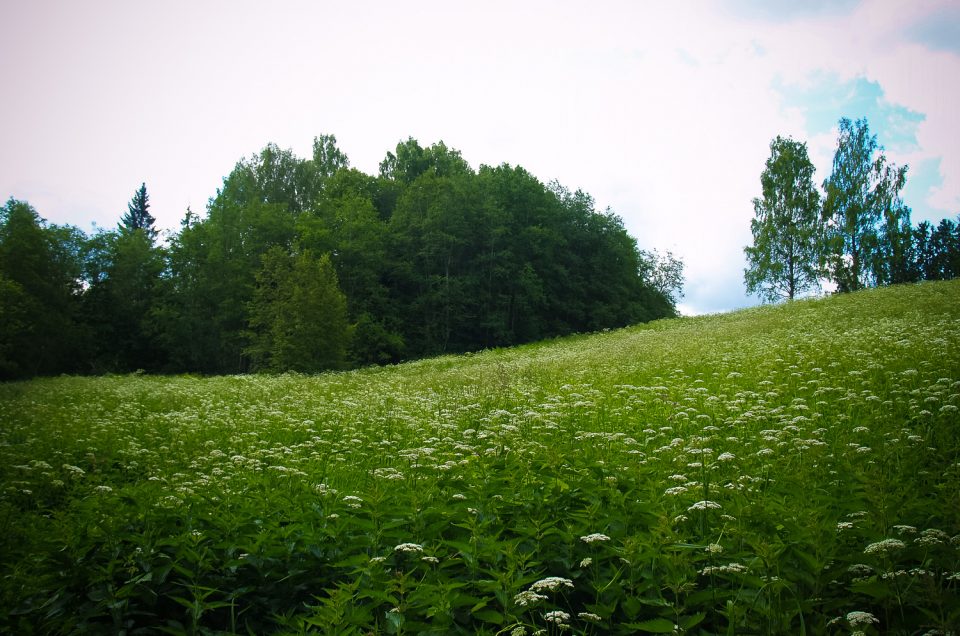 Graudiņu Jāņkalns