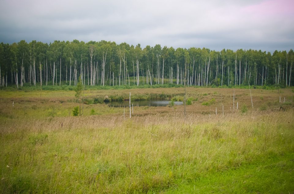 Menkuļu Baznīckalns