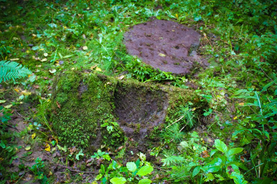 Ezergaļu (Robaltas) bļodakmens