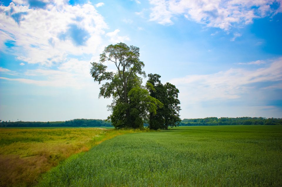 Stērstiņu 1. kausakmens