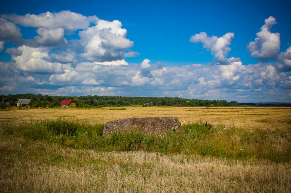 Vaiķu (Napoleona, Pētera I) akmens