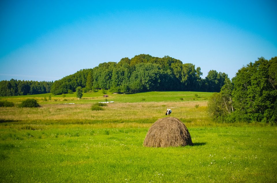 Valliešu Elka kalns