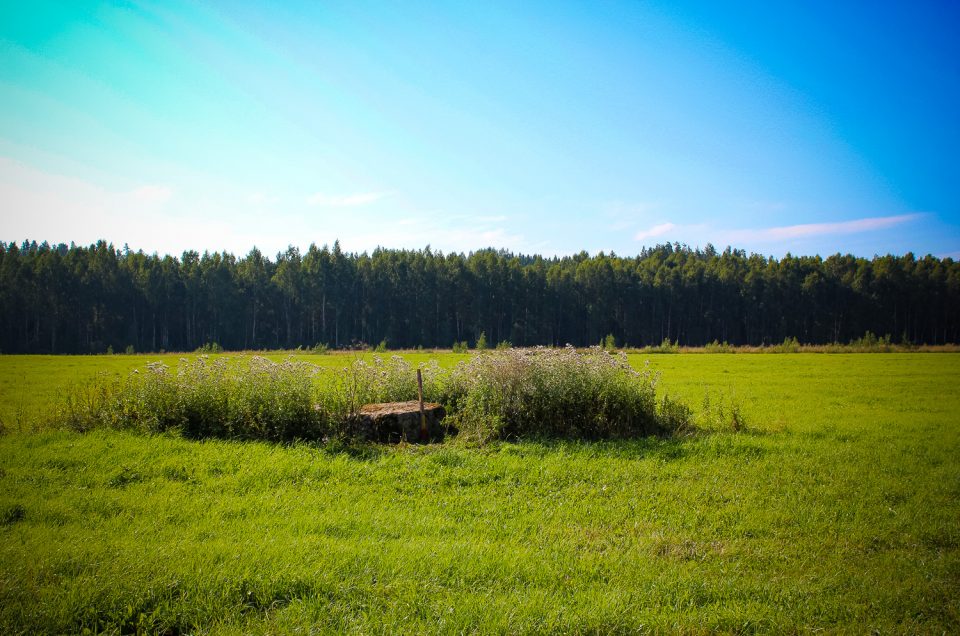 Priednieku Velna akmens