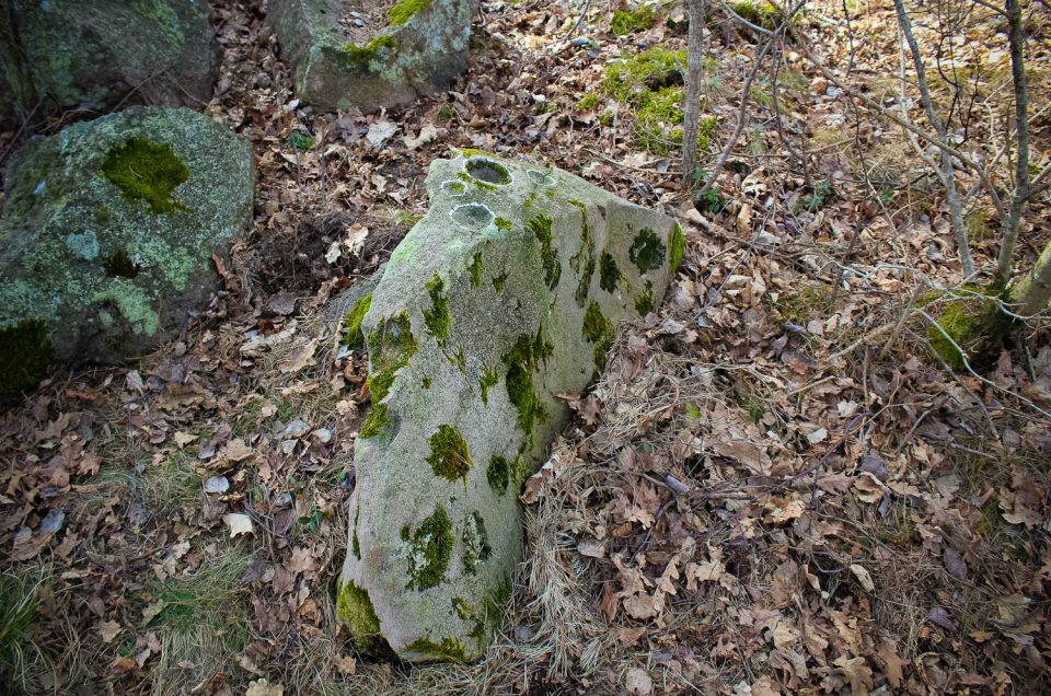 Gauru bedrīšakmens