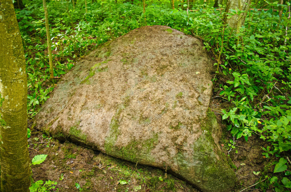 Mazskudru Velna papēdis