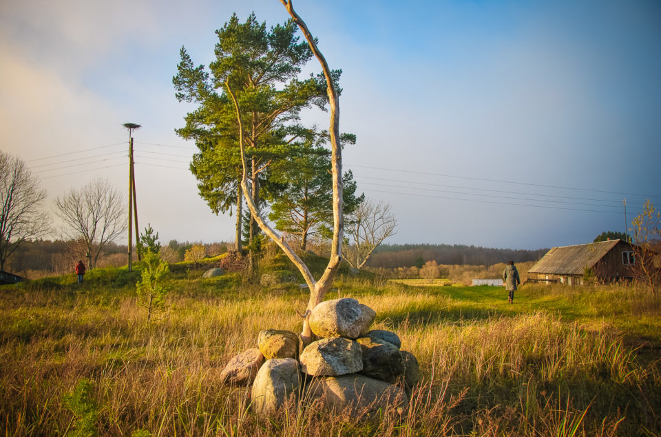 Mazistabu Stieguļu kalns