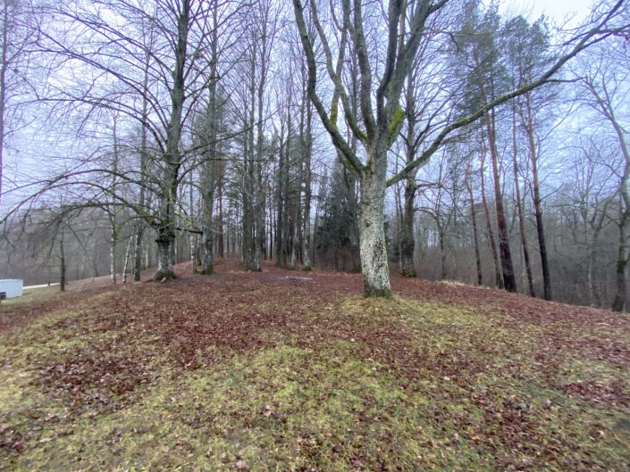 Gatis Kalniņš. Jāņa kalns pie Vedmeriem