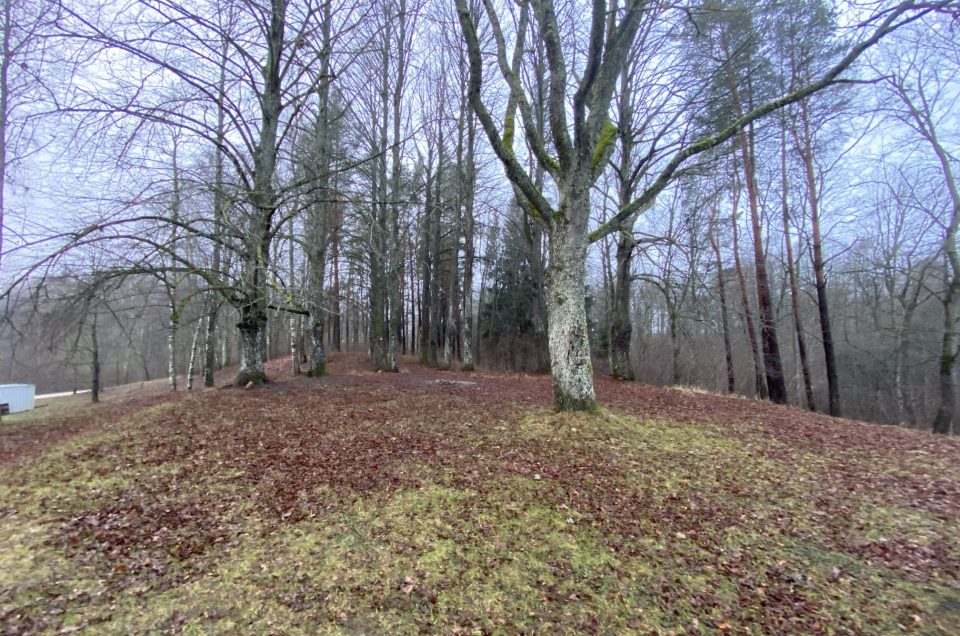 Gatis Kalniņš. Jāņa kalns pie Vedmeriem